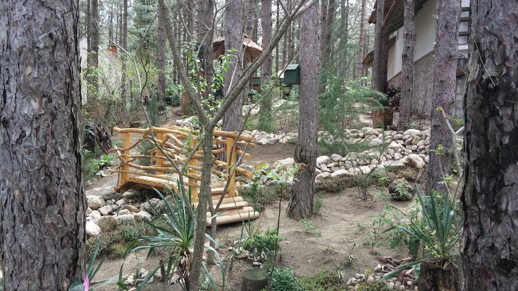 Guesthouse Bajka Vinci Bagian luar foto