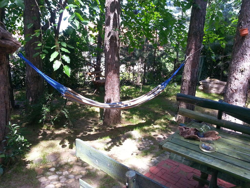 Guesthouse Bajka Vinci Bagian luar foto