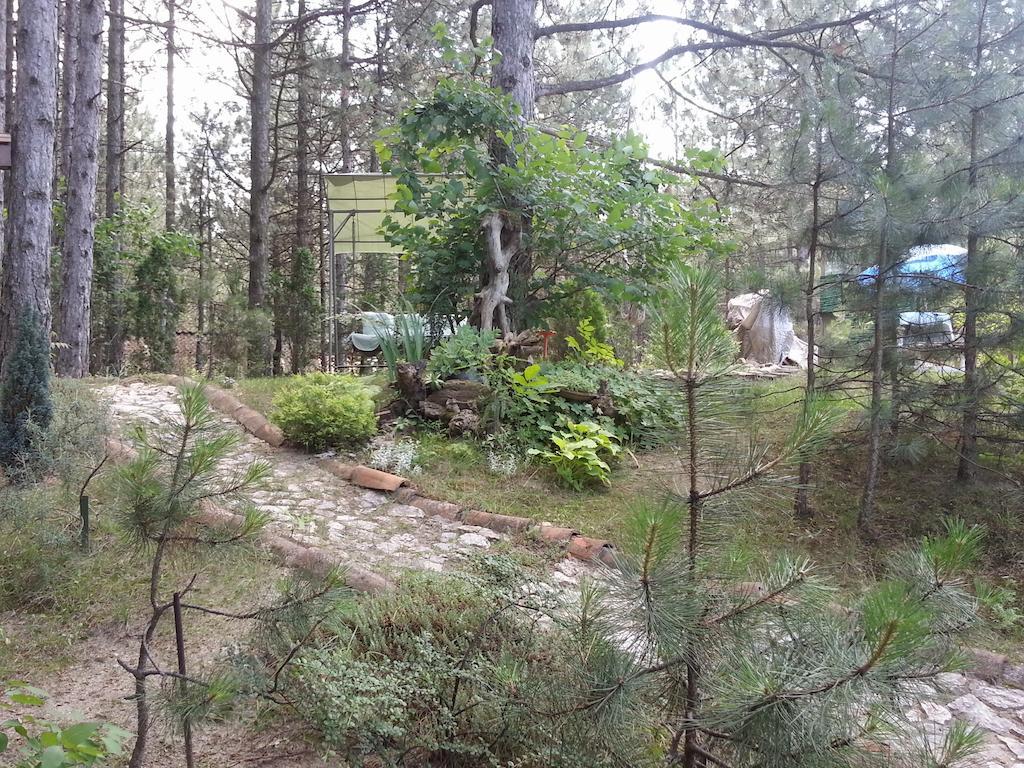 Guesthouse Bajka Vinci Bagian luar foto