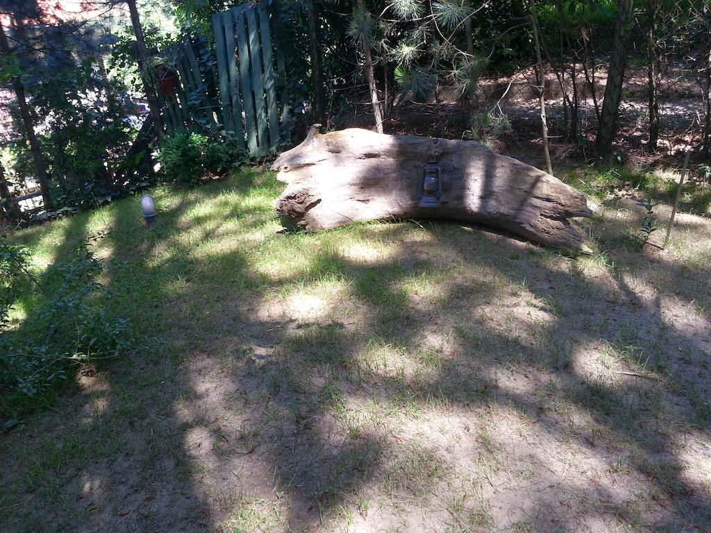 Guesthouse Bajka Vinci Bagian luar foto