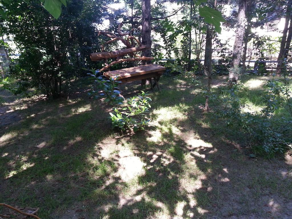 Guesthouse Bajka Vinci Bagian luar foto