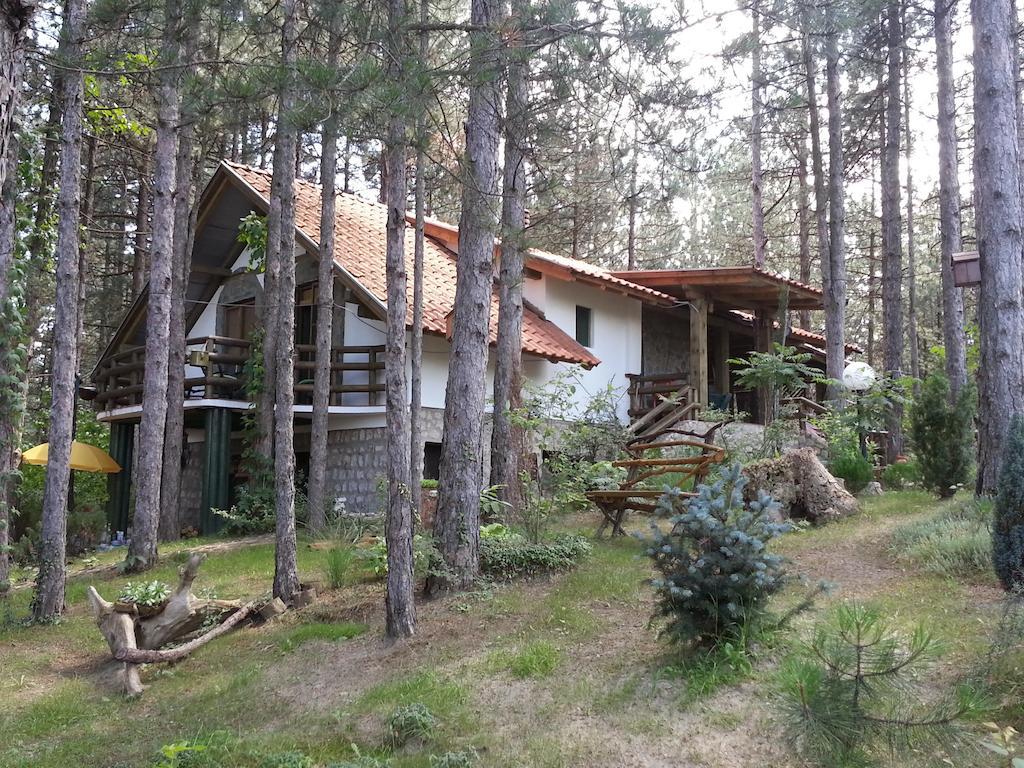 Guesthouse Bajka Vinci Bagian luar foto