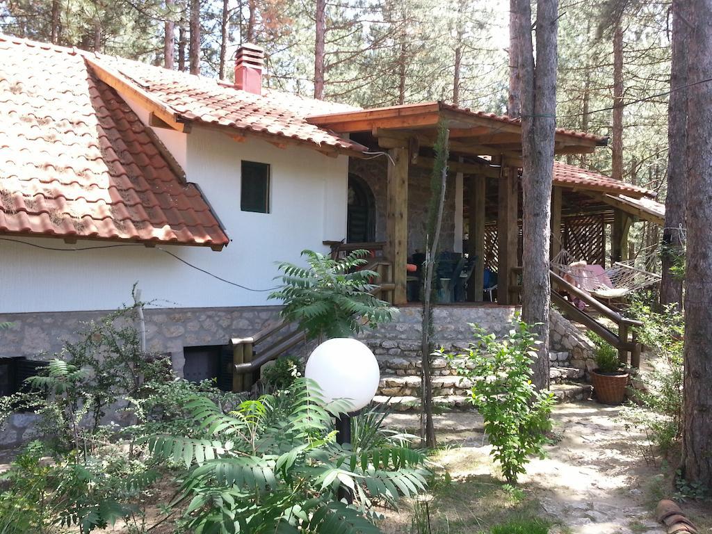 Guesthouse Bajka Vinci Bagian luar foto