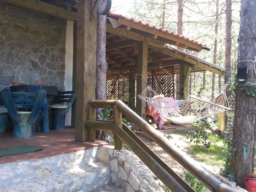 Guesthouse Bajka Vinci Bagian luar foto