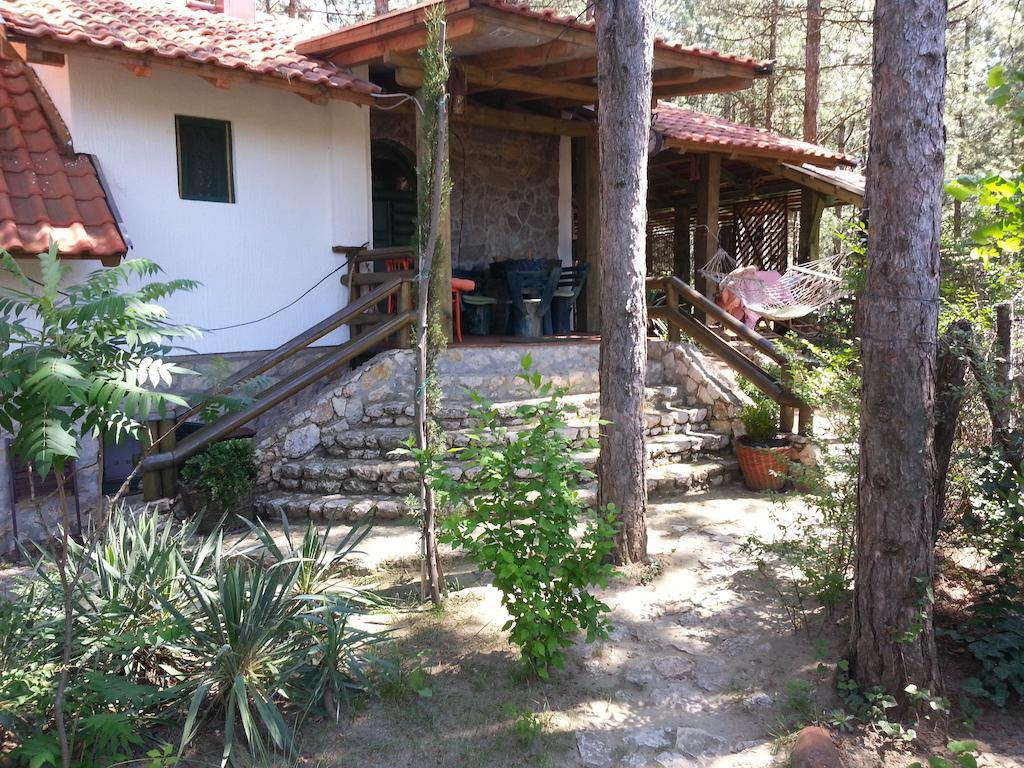 Guesthouse Bajka Vinci Bagian luar foto