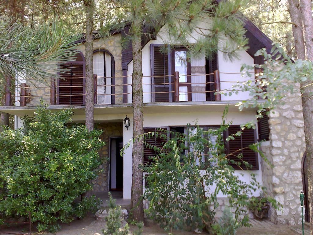 Guesthouse Bajka Vinci Bagian luar foto