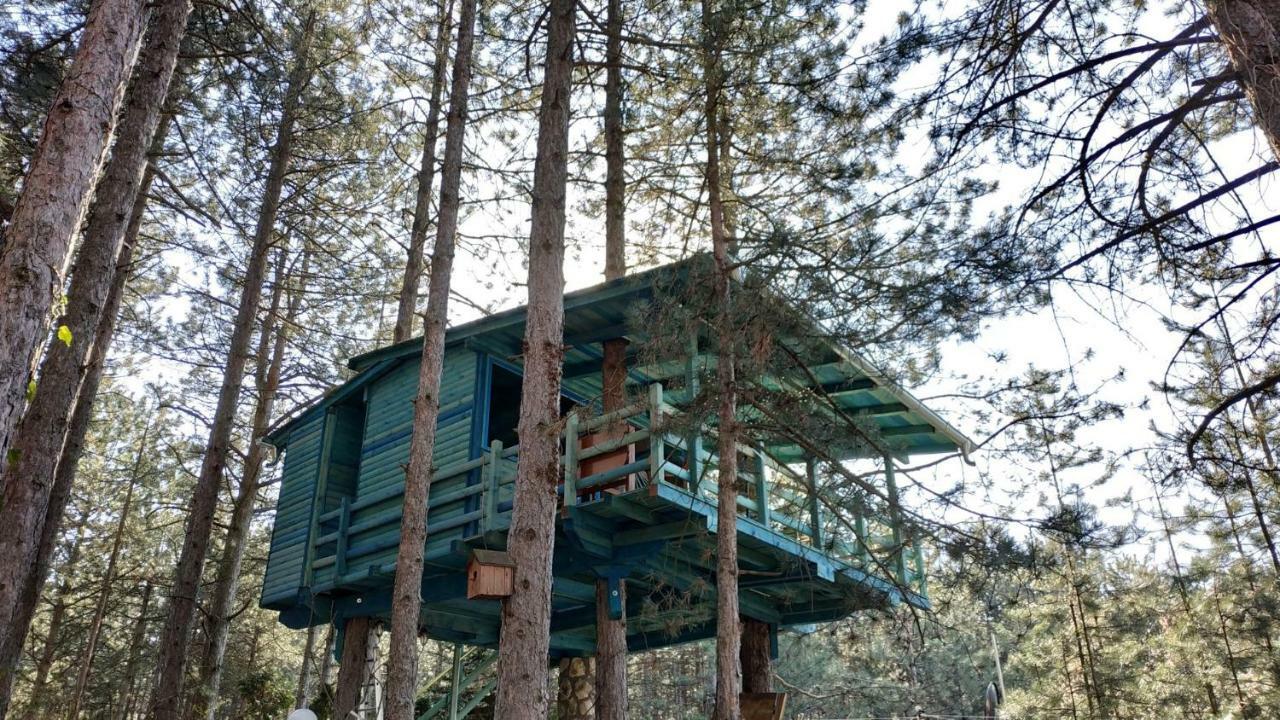 Guesthouse Bajka Vinci Bagian luar foto