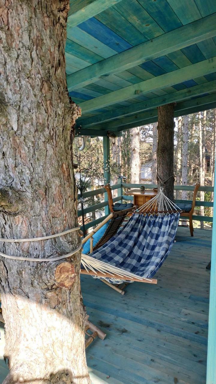 Guesthouse Bajka Vinci Bagian luar foto