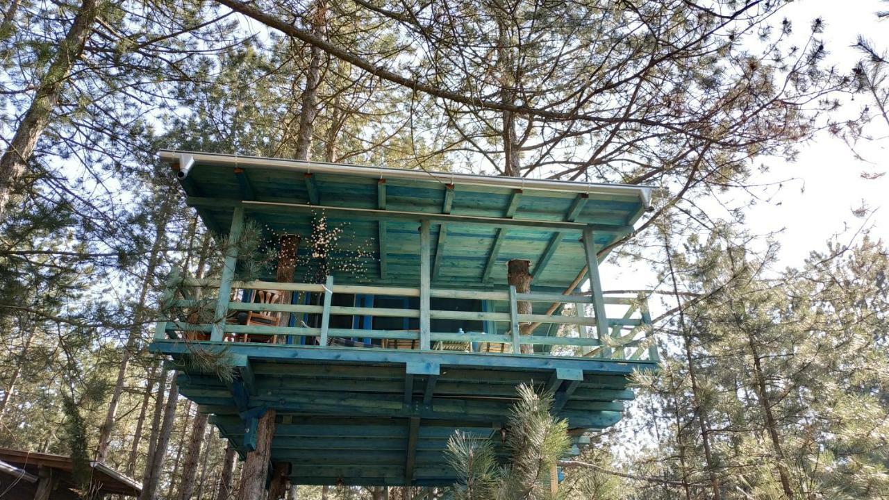 Guesthouse Bajka Vinci Bagian luar foto