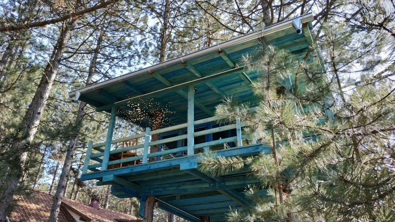 Guesthouse Bajka Vinci Bagian luar foto