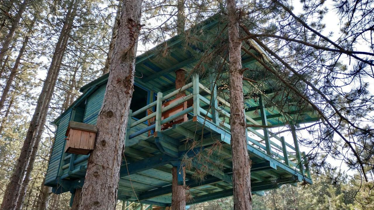 Guesthouse Bajka Vinci Bagian luar foto