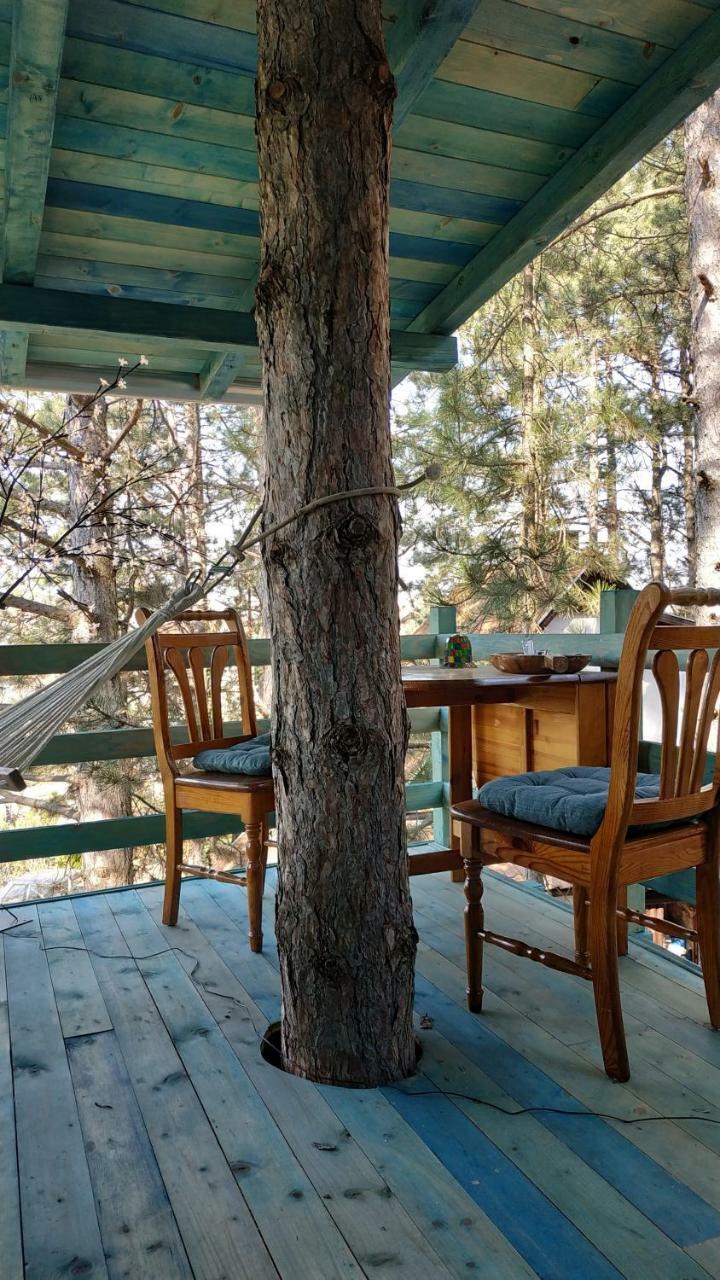 Guesthouse Bajka Vinci Bagian luar foto