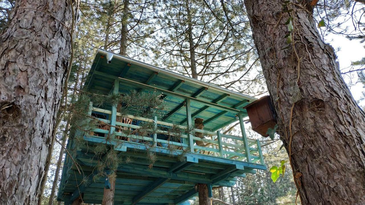Guesthouse Bajka Vinci Bagian luar foto