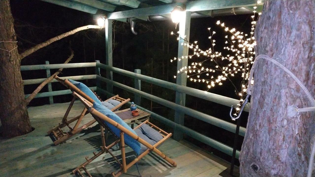 Guesthouse Bajka Vinci Bagian luar foto