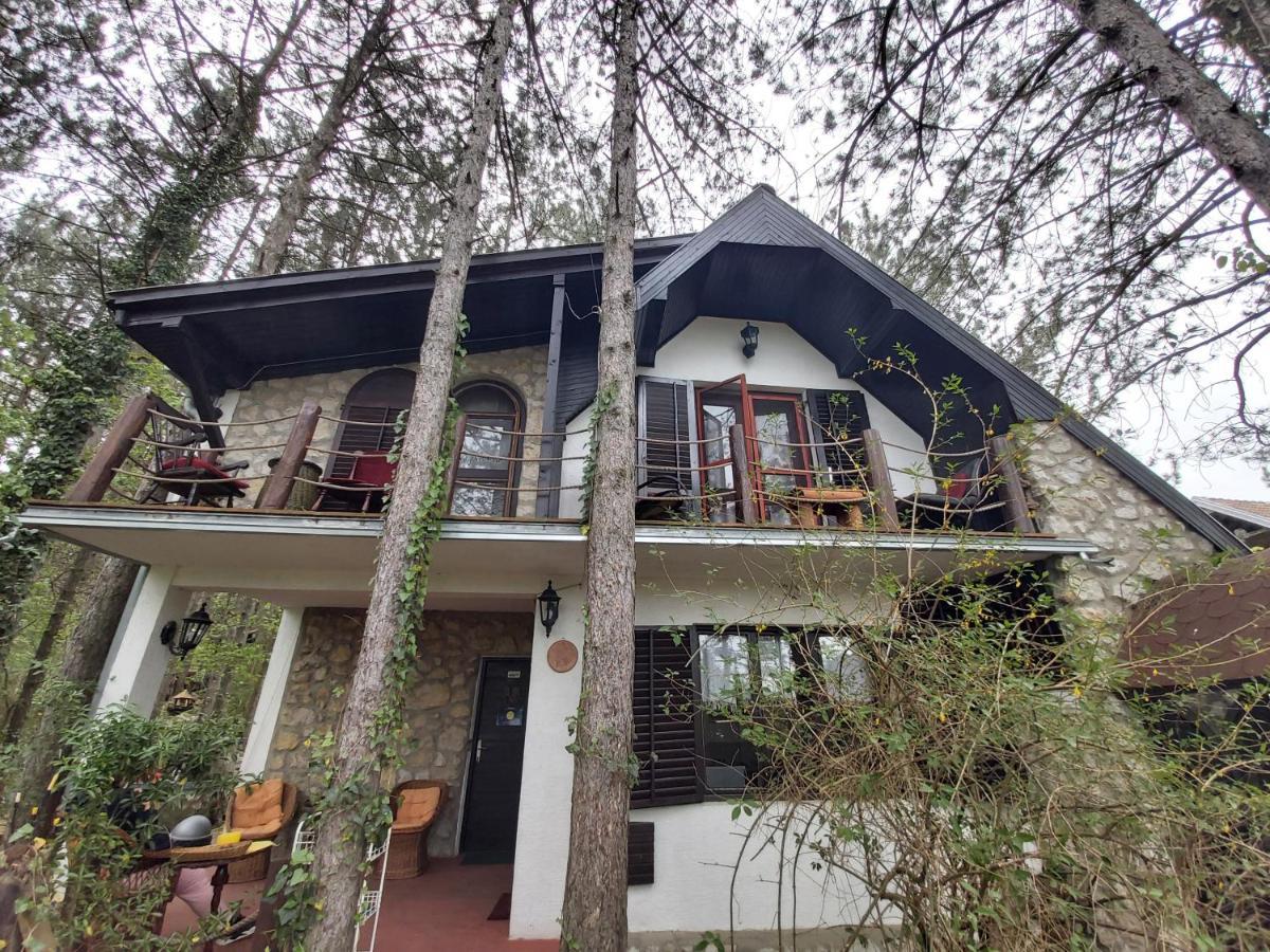 Guesthouse Bajka Vinci Bagian luar foto